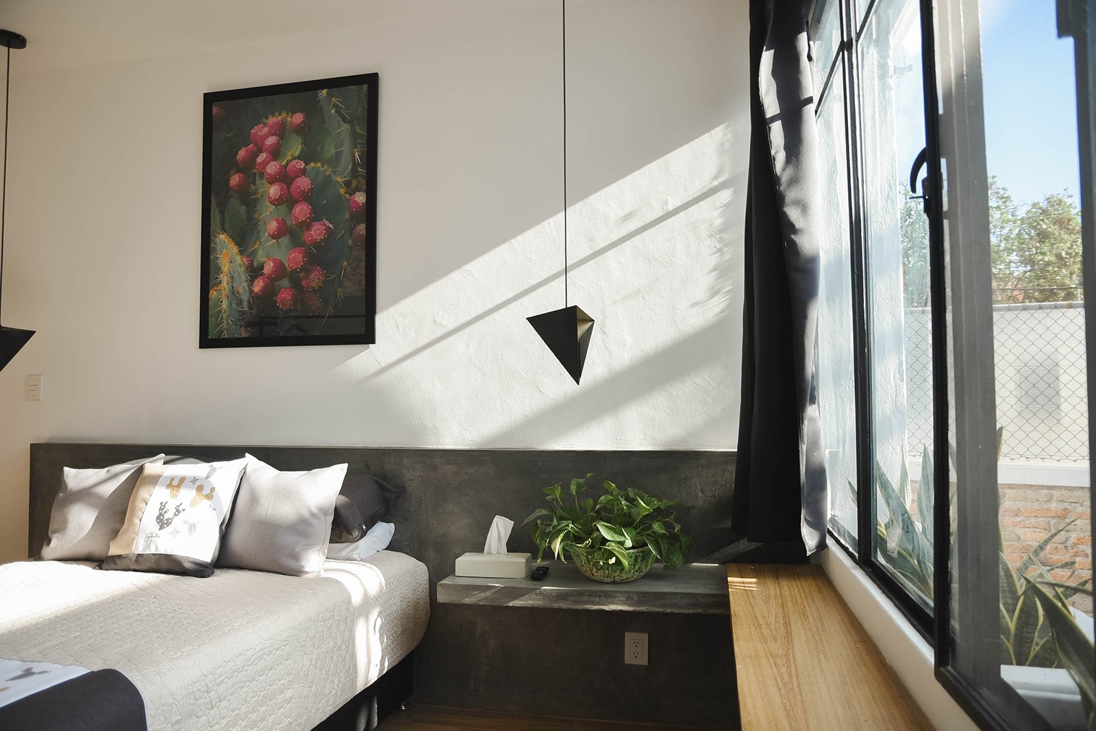 Espacio Tres - Pitaya detalles