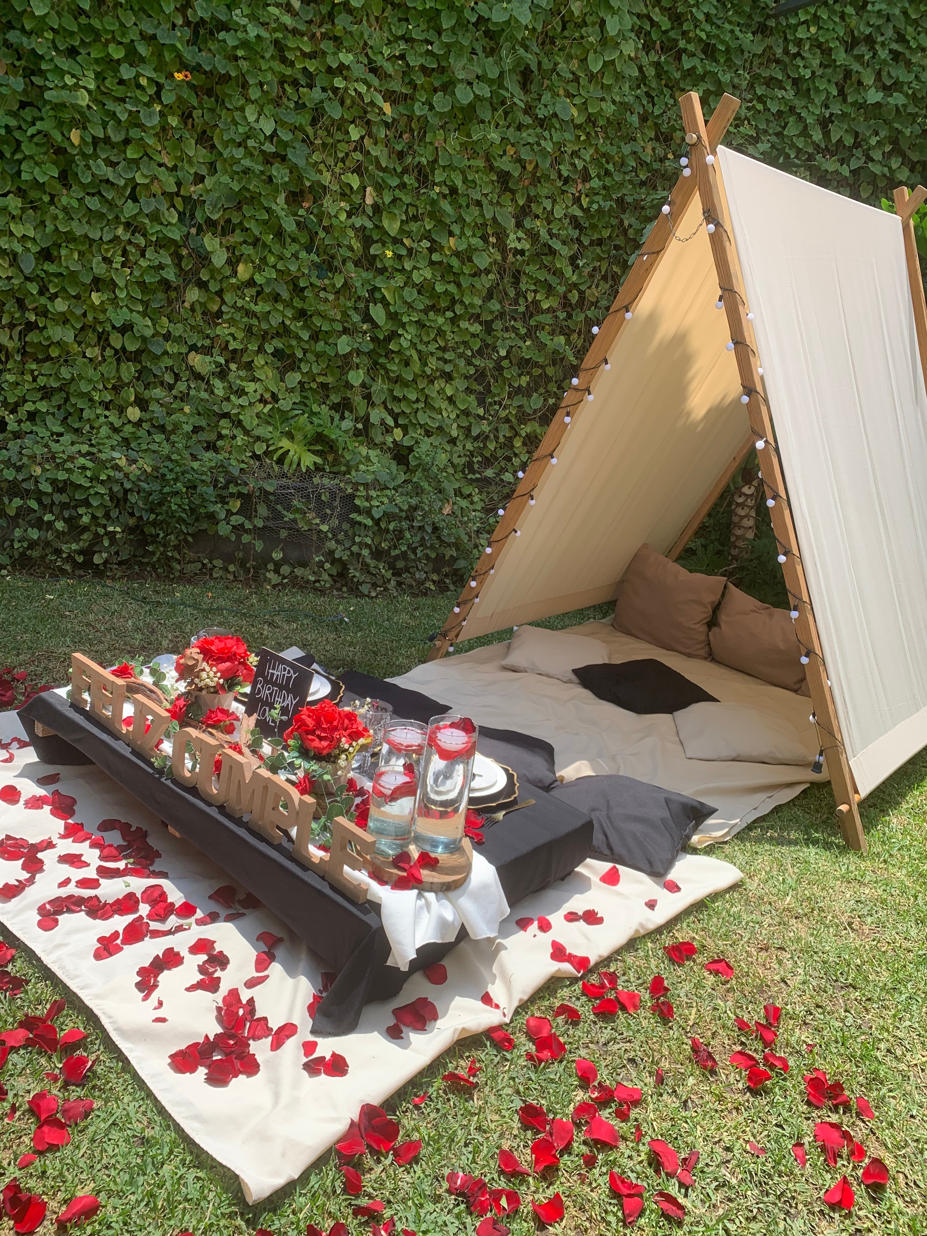Picnics sorpresa