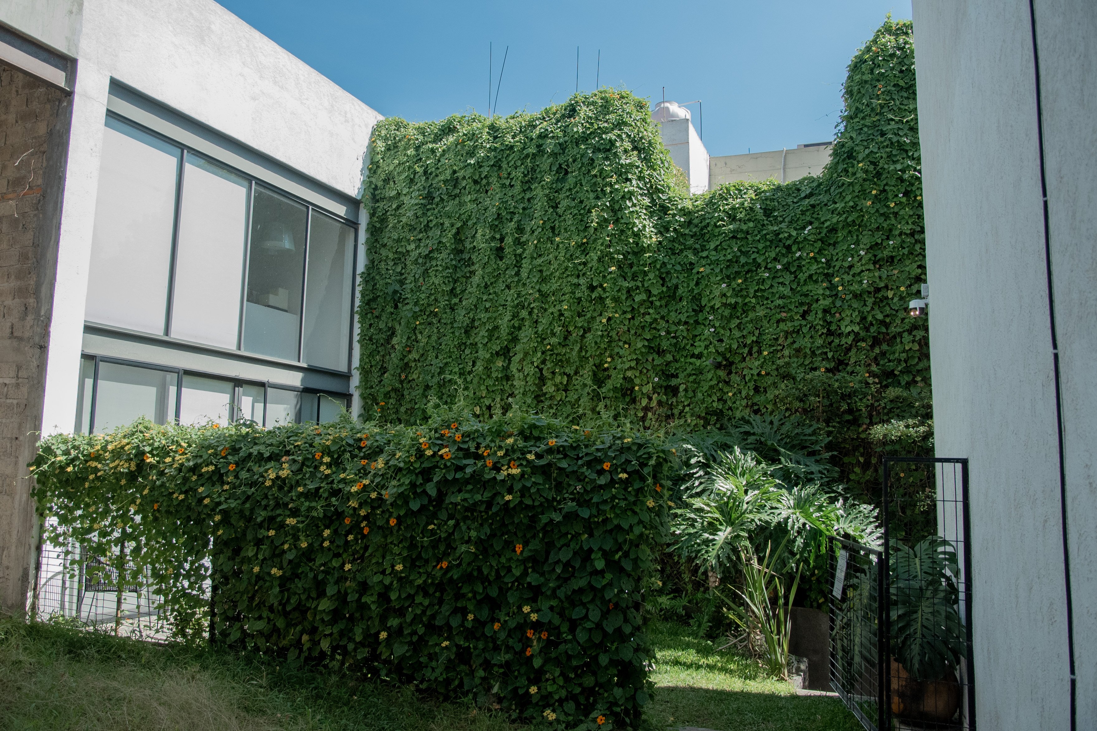 Espacio Dos - Área de cocina